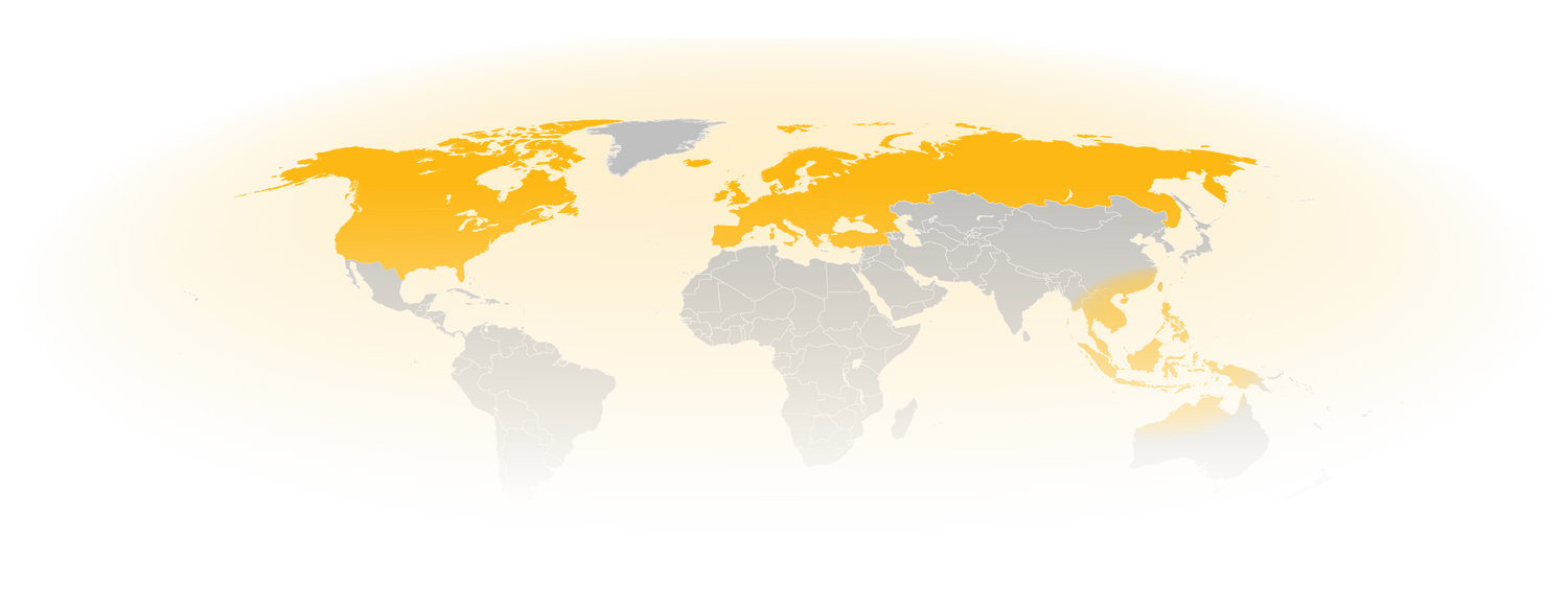 GroundGuards Global Is Now Live: Dedicated Support for Export Orders Worldwide